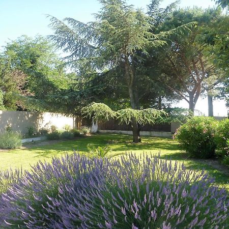 Le Mas De Gleyzes B&B De Charme Lédenon Εξωτερικό φωτογραφία